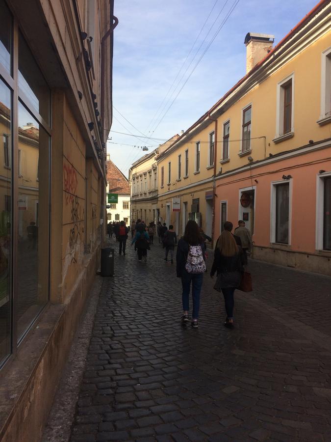 Casa Roz Hostel Cluj-Napoca Buitenkant foto