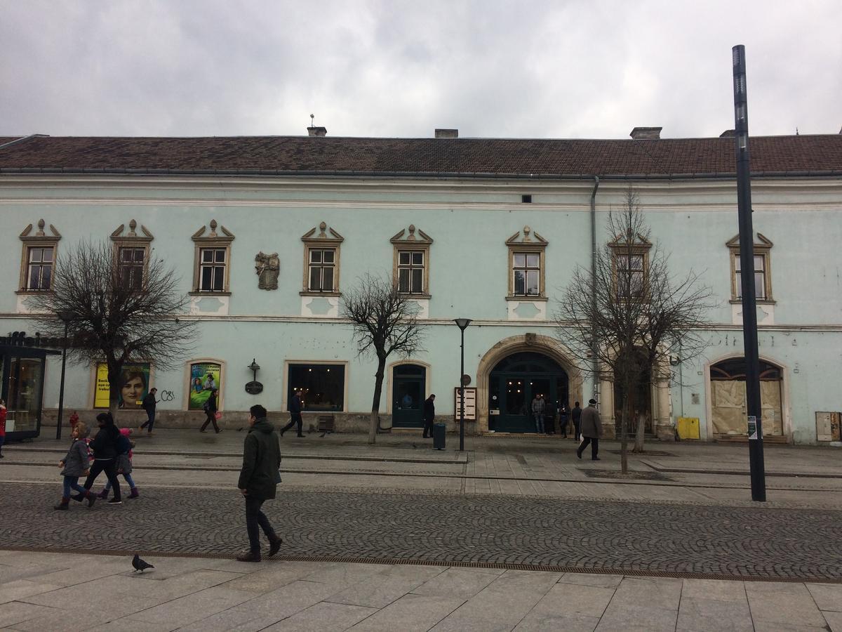 Casa Roz Hostel Cluj-Napoca Buitenkant foto